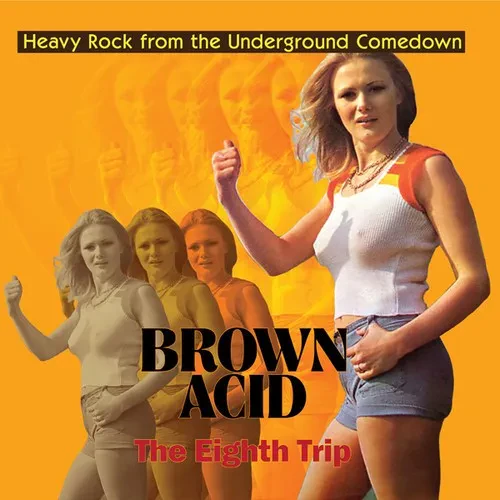 Виниловая пластинка Various Artists - Brown Acid - The Eighth Trip (Various Artists) [New Vinyl LP]