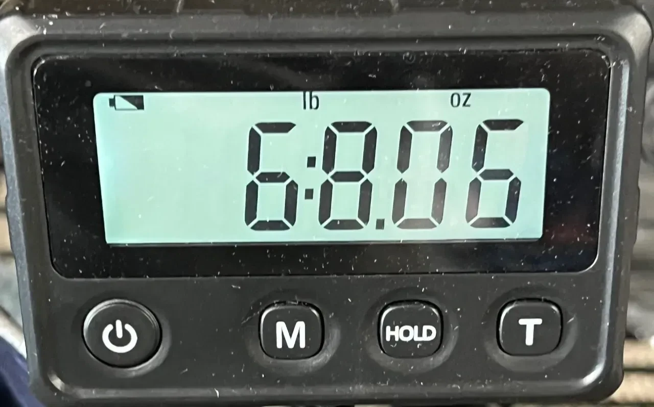 Изображение №2