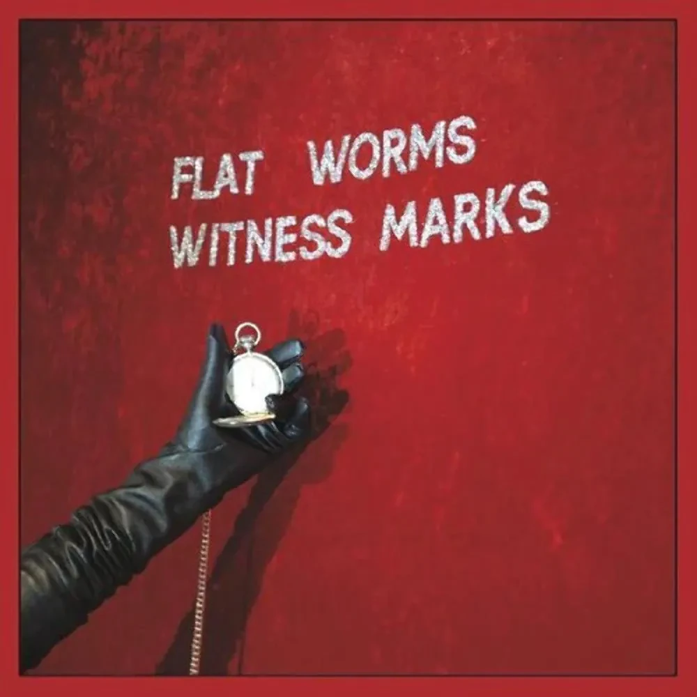 Flat Worms - Witness Marks NEW Vinyl
