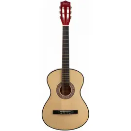 Классическая гитара TERRIS TC-3805A NA