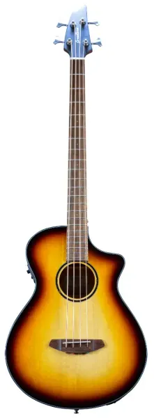 Бас-гитара акустическая Breedlove Discovery S Edgeburst