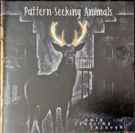 PATTERN-SEEKING ANIMALS - Only Passing Through (CD)