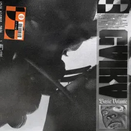Виниловая пластинка GAIKA – Basic Volume (2LP)