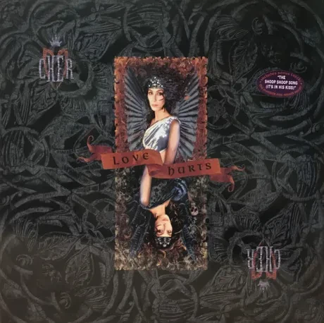 CHER - Love Hurts (LP , Used)