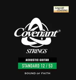 Струны для акустической гитары Covenant SGA-S253 Standard 12-53