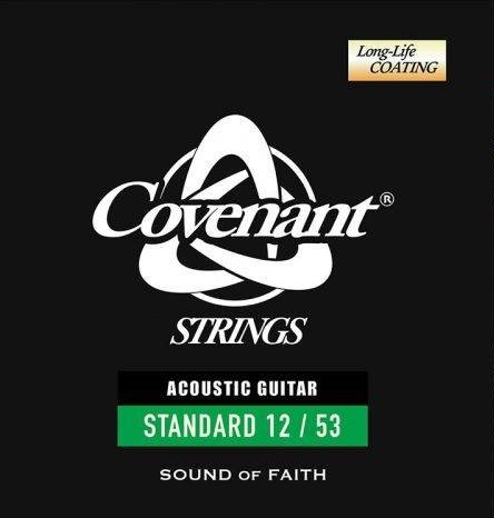 Струны для акустической гитары Covenant SGA-S253 Standard 12-53