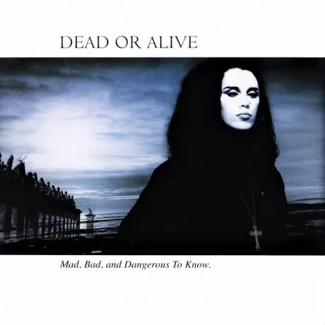 DEAD OR ALIVE - Mad, Bad And Dangerous To Know (LP , Used)
