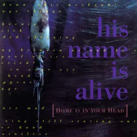 Виниловая пластинка His Name Is Alive - Home Is In Your Head NEW Vinyl