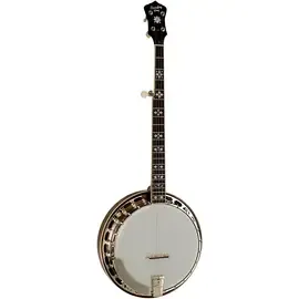 Банджо Recording King Bluegrass Series RK-R20 Songster Banjo