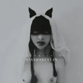 David Sylvian - Sleepwalkers (Deluxe Edition) NEW Sealed Vinyl LP