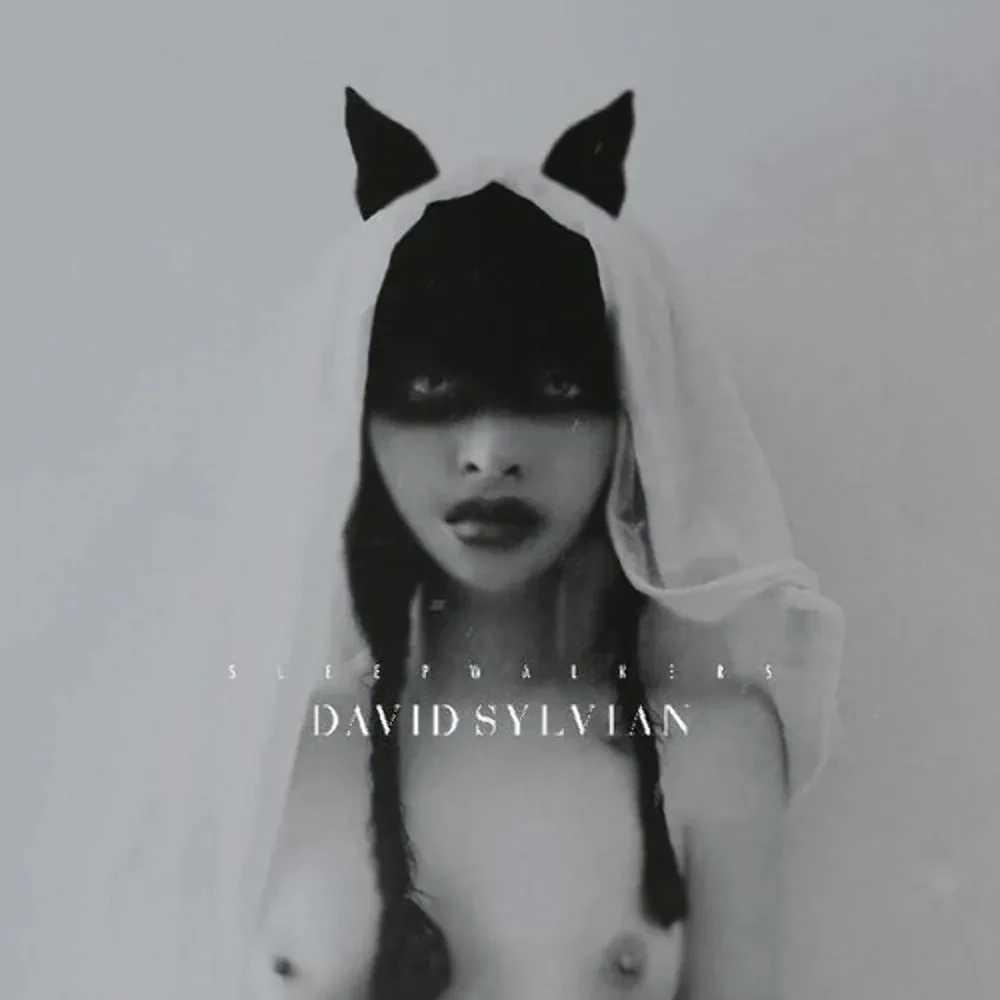 David Sylvian - Sleepwalkers (Deluxe Edition) NEW Sealed Vinyl LP