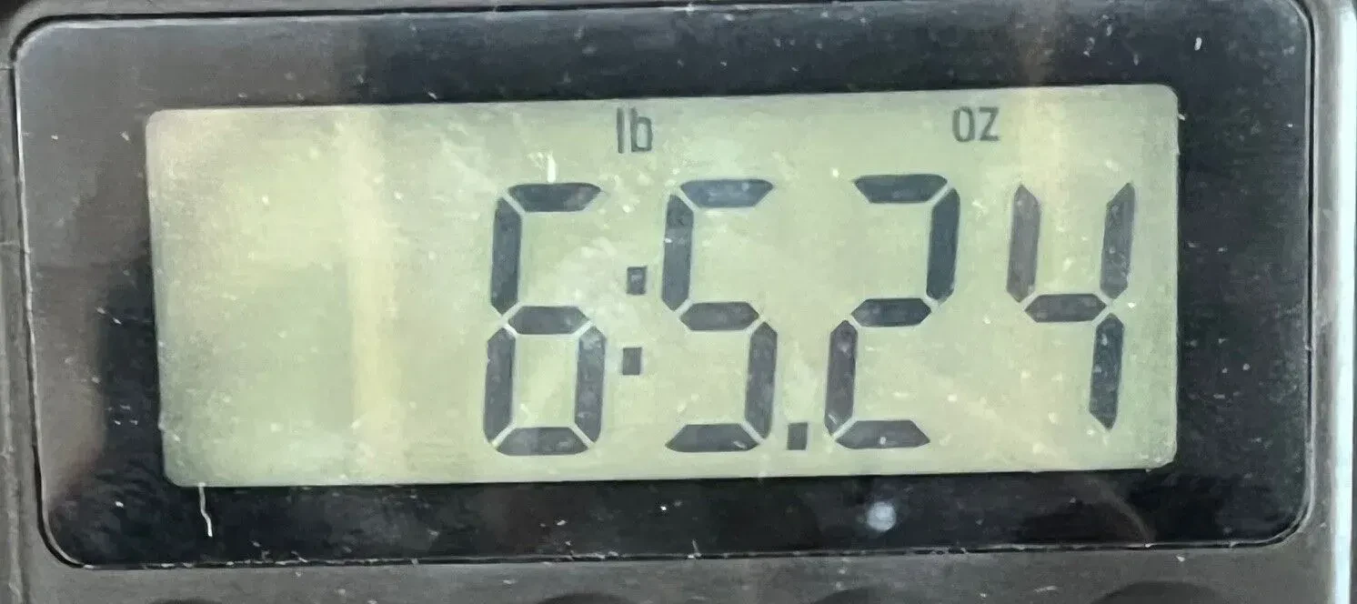 Изображение №8