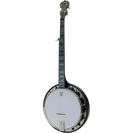 Банджо Deering Artisan Goodtime II 5-String Resonator Banjo