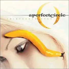 Виниловая пластинка A Perfect Circle – Thirteenth Step (Релиз 2003) Sealed