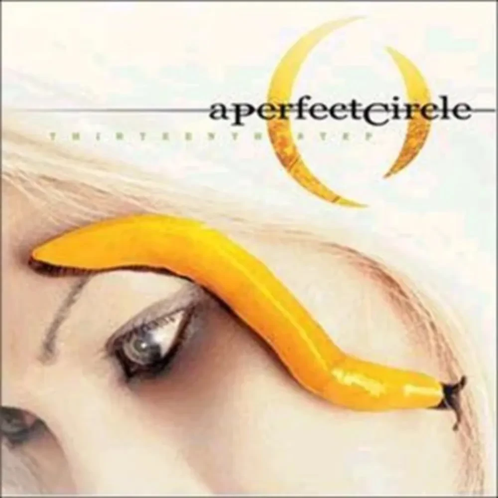 Виниловая пластинка A Perfect Circle – Thirteenth Step (Релиз 2003) Sealed