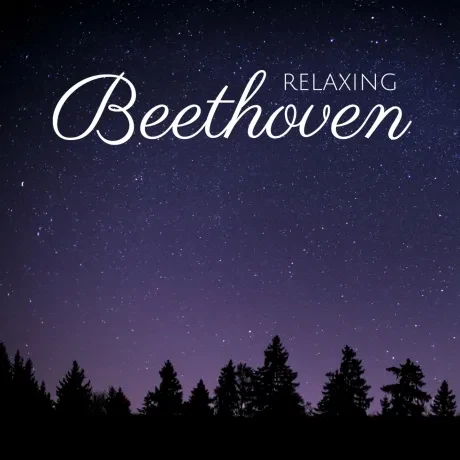 VARIOUS - Relax With Beethoven (CD)