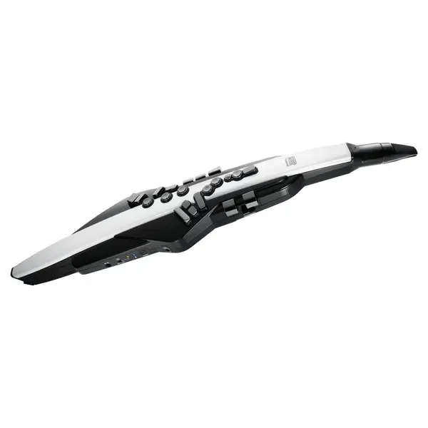 Roland Aerophone AE-20 Digital Wind Instrument