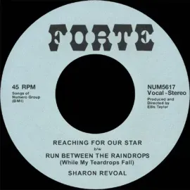 Виниловая пластинка Sharon Revoal – Reaching for Our Star / Run Between the Raindrops 2024