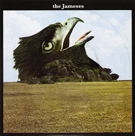 Виниловая пластинка Jameses – Caribou (Релиз 2010)
