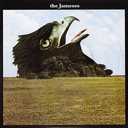 Виниловая пластинка Jameses – Caribou (Релиз 2010)