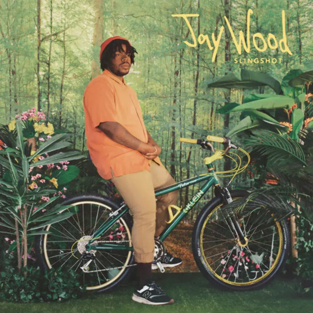 Виниловая пластинка JayWood – Slingshot Релиз 2022 Sealed