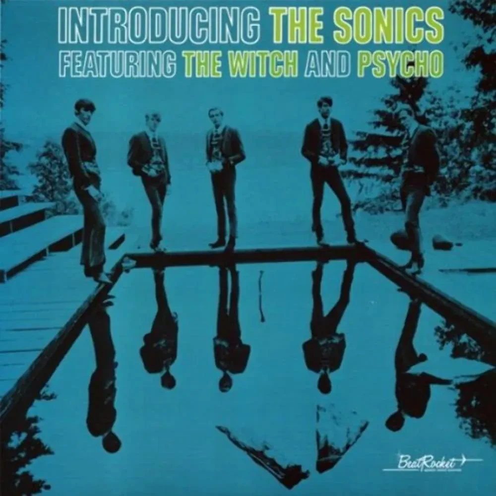 Виниловая пластинка The Sonics – Introducing The Sonics