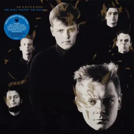 Виниловая пластинка Madness – Mad Not Mad