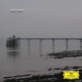 Виниловая пластинка Hildur Guonadottir – Without Sinking 2009