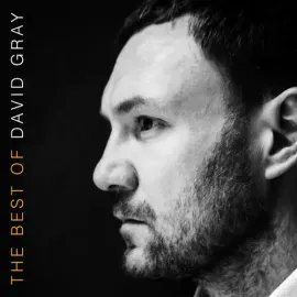 Виниловая пластинка David Gray - The Best Of David Gray [New Vinyl LP] Gatefold LP Jacket