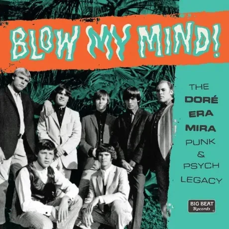 VARIOUS ARTISTS - Blow My Mind (CD)