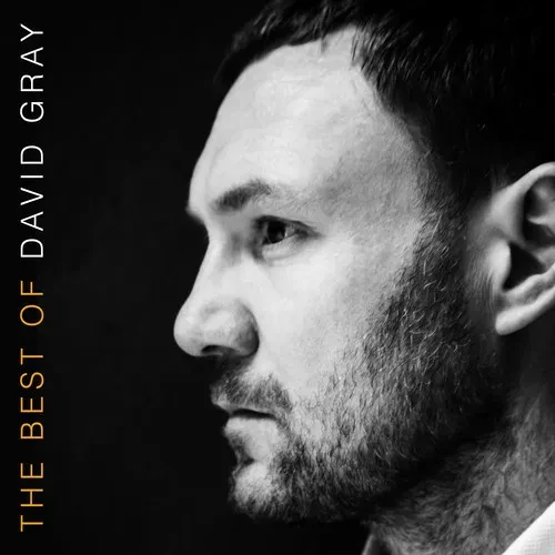 Виниловая пластинка David Gray - The Best Of David Gray [New Vinyl LP] Gatefold LP Jacket