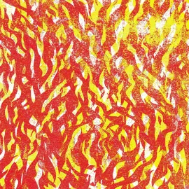 The Bug - Fire [Gray Vinyl] NEW Sealed Vinyl LP Album