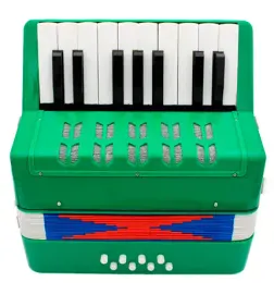 Аккордеон детский Future Star FF-17K-GR