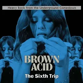Виниловая пластинка Various Artists – Brown Acid - The Sixth Trip 2018
