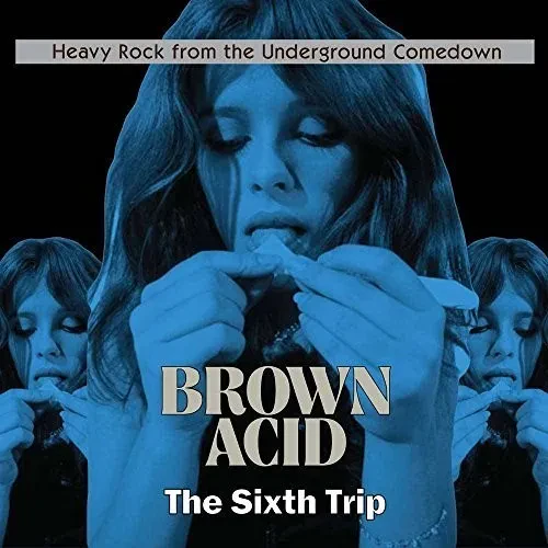 Виниловая пластинка Various Artists – Brown Acid - The Sixth Trip 2018
