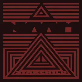 Виниловая пластинка Naam - The Ballad Of The Starchild [New Vinyl LP]