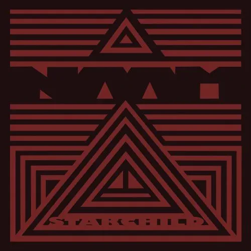 Виниловая пластинка Naam - The Ballad Of The Starchild [New Vinyl LP]
