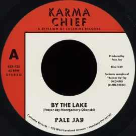 Виниловая пластинка Pale Jay & Okonski – By The Lake (Релиз 2023)