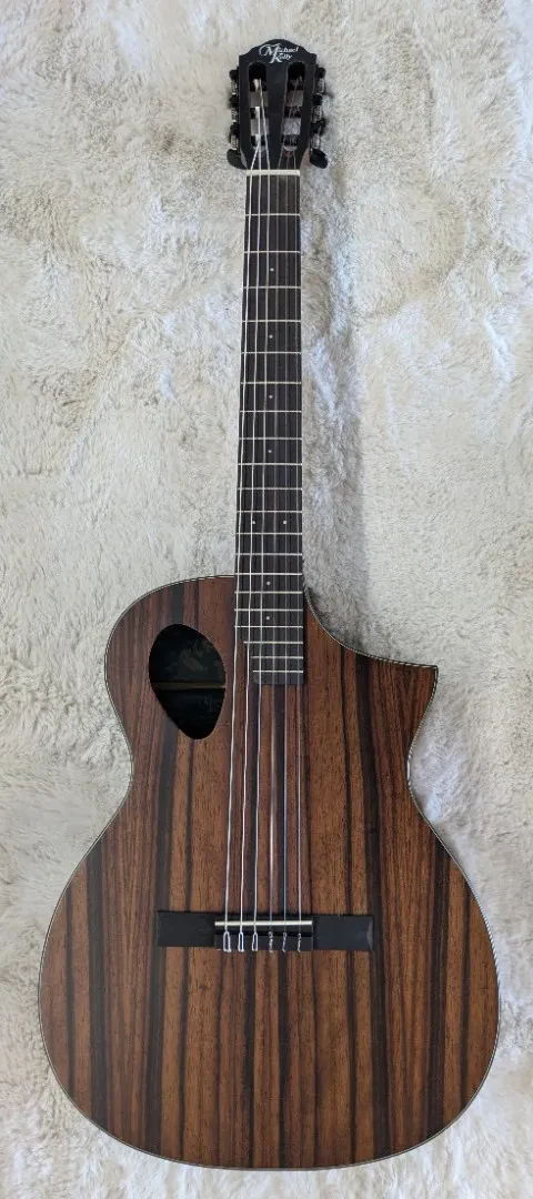 Michael Kelly Dragonfly 4 Port Acoustic-Electric Bass, Fretless - NAMM 26 Sample