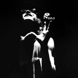 Виниловая пластинка The Hated – Flux (Релиз 2024)