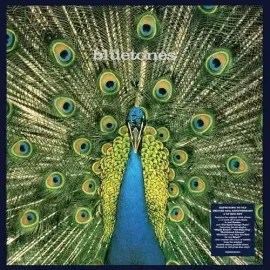 Виниловая пластинка The Bluetones - Expecting To Fly: 25th Anniversary [Deluxe Expanded Boxset Inclu