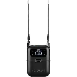 Микрофонная радиосистема Shure SLXD24/SM58 Portable Digital Wireless Bodypack System - Band G58 Band H55