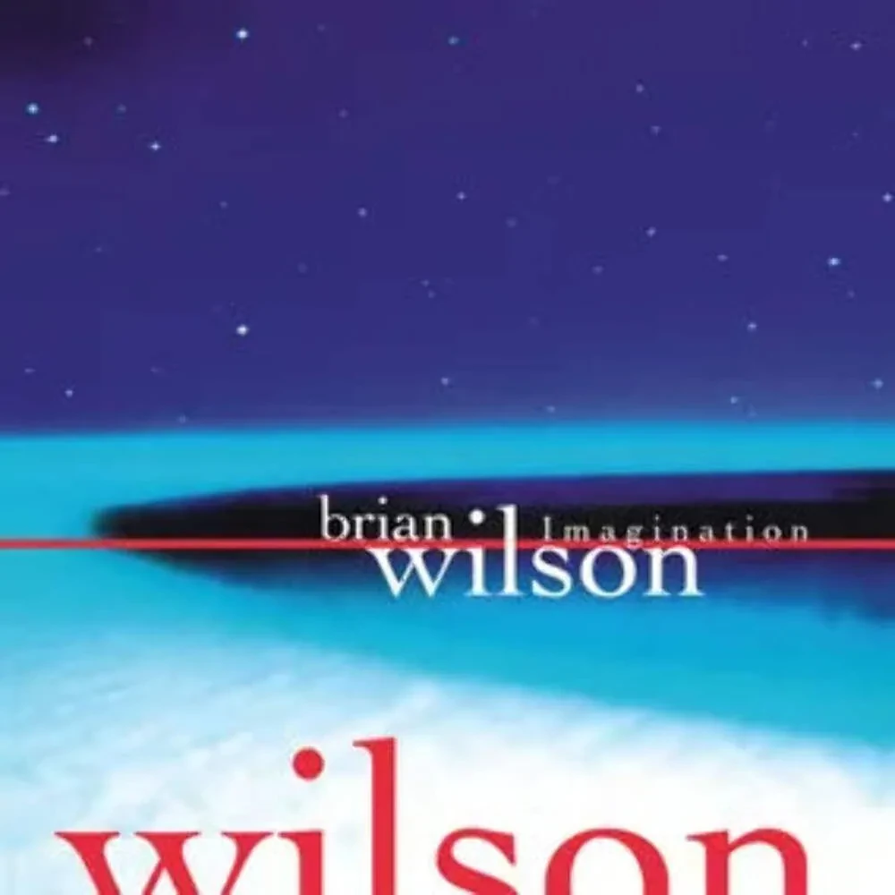 Brian Wilson - Imagination NEW Vinyl