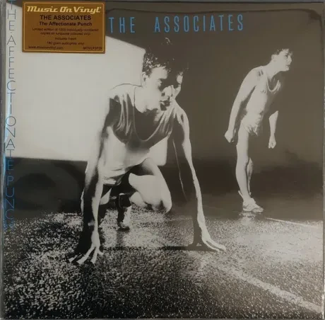 Виниловая пластинка The Associates – The Affectionate Punch