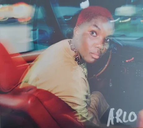 ARLO PARKS - Ambiguous Desire (CD)