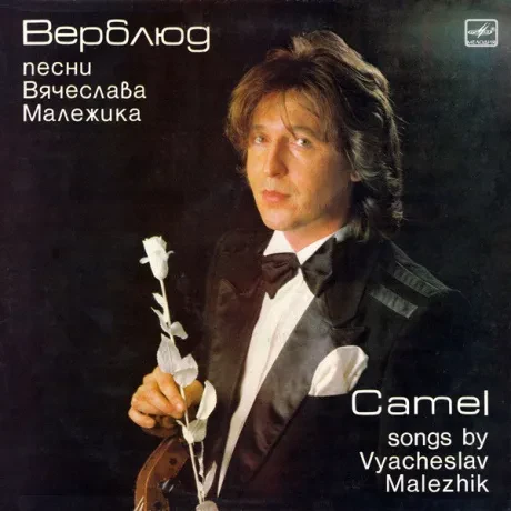 ВЯЧЕСЛАВ МАЛЕЖИК - Верблюд (LP , Used)