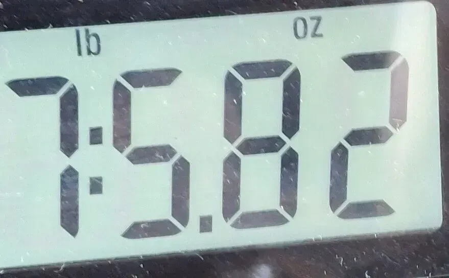 Изображение №9