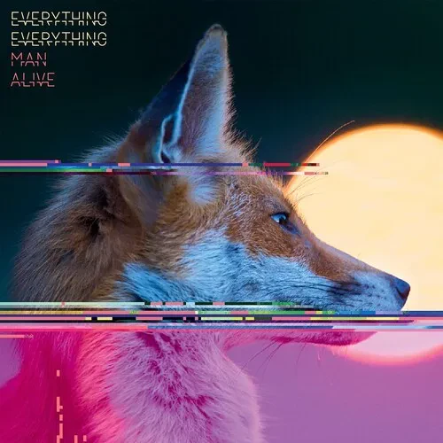 Виниловая пластинка Everything Everythin - Man Alive - 140gm 2LP Deluxe Edition with Poster & Bookle