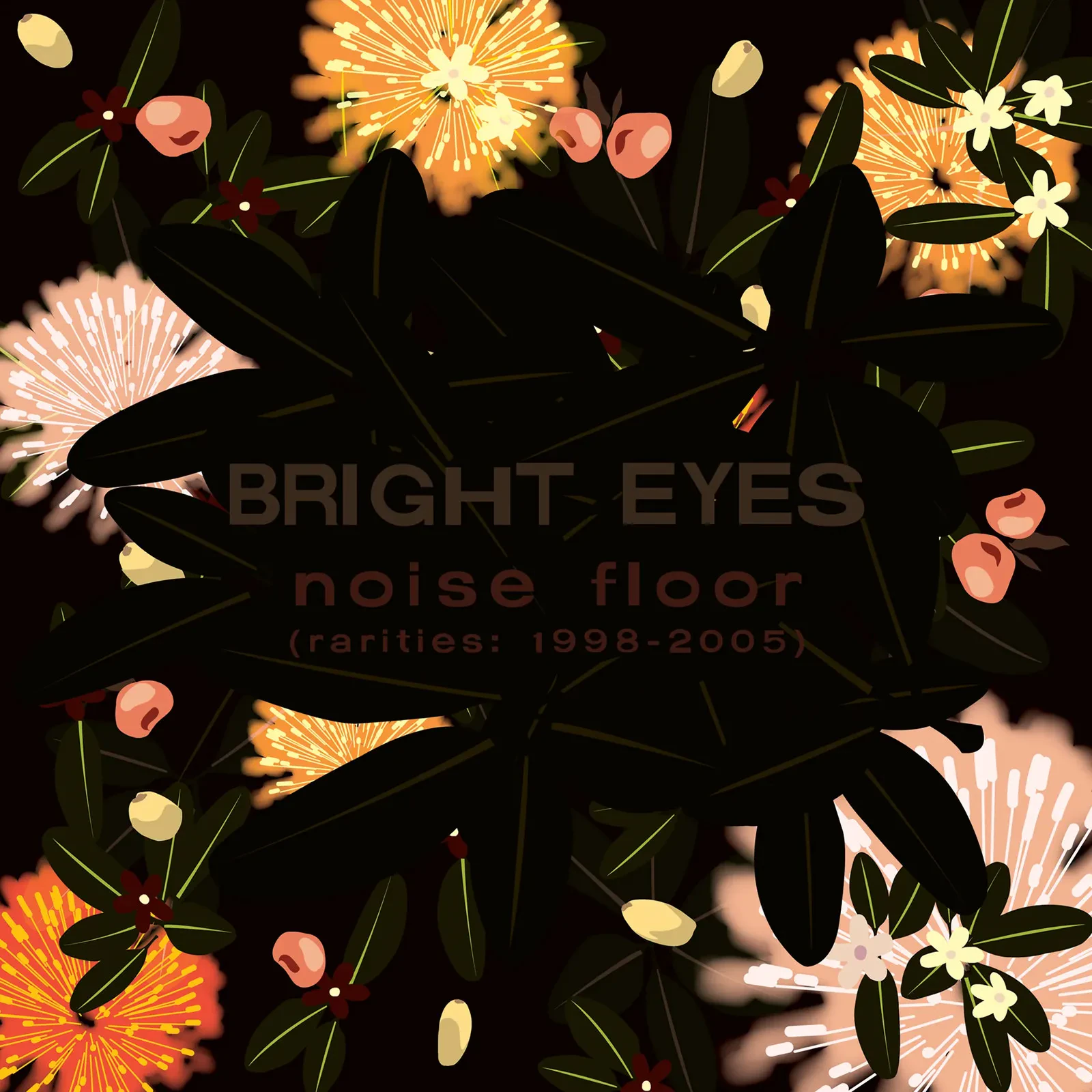 Виниловая пластинка Bright Eyes – Noise Floor (Rarities: 1998-2005) (Релиз 2023)