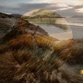 Виниловая пластинка Matt Carmichael – Marram (Релиз 2023) Sealed